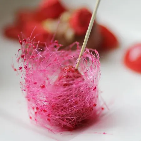 Seetelhotel Ahlbecker Hof Elegante Traditionshotel&ruhiger Rückzugsort An Der Ostsee Hotel